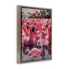 Stupell Industries Flamingo Among Floats, 31" x 25" - 3 of 4