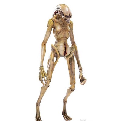 The Newborn 1:18 Scale | Alien: Resurrection | Hiya Toys Action figures