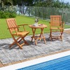 Tangkula Patio Wood Folding Chair Set of 2 w/ Armrests & Slatted Seat for Backyard - 3 of 4