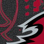 tampa bay buccaneers