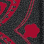 tampa bay buccaneers