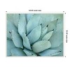 Amanti Art Agave Detail IV by Brittany Evans Framed Canvas Wall Art - 4 of 4