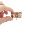 Unique Bargains Women's Trapezoid Splicing Ponytail Buckle Hair Clip 1 Pc - 4 of 4