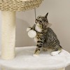 Gulches Natural Cat Activity Center with Cattail Bed, Sisal Post & Balls - 4 of 4