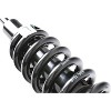 Rear Strut Assembly, 2005-2015 Toyota Tacoma Kit - Left & Right Shock Coil Spring Suspension Replacement - 3 of 4