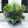 Bloem Collins 16" Stackable 2-Level 6 Mini Potting Vertical Resin Planter Solution for Succulents and Herbs, Charcoal Grey - 2 of 4