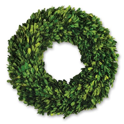 Plum & Post Boxwood Wreath 16"