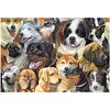 Parragon Dog Lovers Jigsaw Puzzle - 100pc - 2 of 3