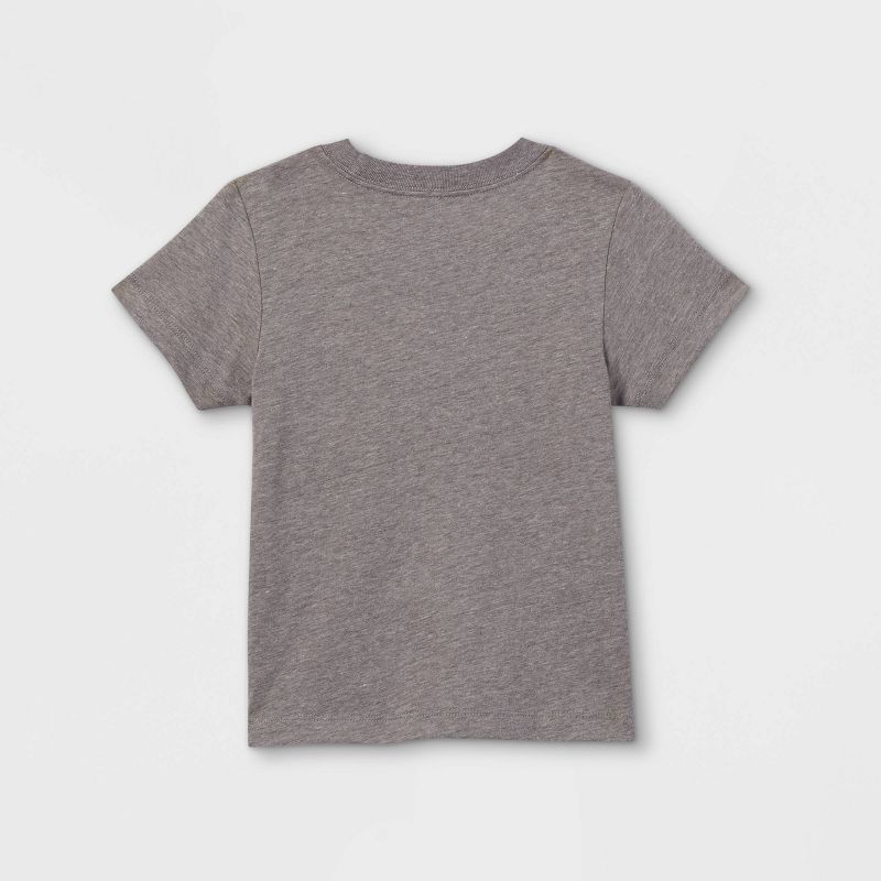 Toddler Boys' Bob Marley 'One Love' Short Sleeve Graphic T-Shirt - Gray, 2 of 9