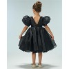 2Bunnies Girls' Organza Puff Sleeve Babydoll Fit & Flare Dress - 4 of 4