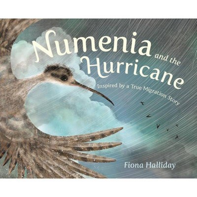 Numenia and the Hurricane - by  Fiona Halliday (Hardcover)