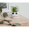 Silver Buffalo Disney The Nightmare Before Christmas Jack Skellington Ceramic Mini Planter - 3 of 4