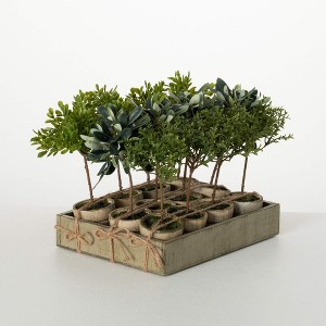 Sullivans Artificial 8.5" Potted Mini Tree Crate of 12 - 1 of 4
