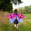 Insect Lore Pink Ladybug Dress-Up Wings - 4 of 4
