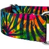 Country Brook Petz® 2 Inch Martingale Dog Collar - 4 of 4