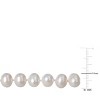 EVERLY JEWELRY | Sterling Silver 7.5-8mm Cultured Freshwater Pearl Strand Necklace, 18" - 4 of 4