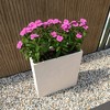 LeisureMod Thistle Fiberstone Rectangular Planter Pot with Drainage Holes, Weather-Resistant for Indoor/Outdoor Use - 3 of 4