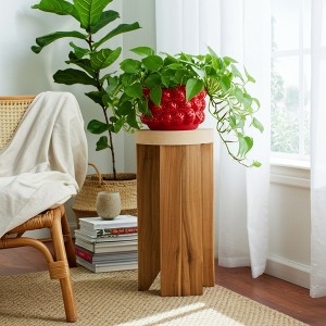 Cheerful Planter Pot Perfect for Indoor or Outdoor Herbs, Ferns, or Succulents - Modern Pot for Indoor - Great for Garden and Patio Decor - 1 of 4