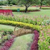Gulches Garden Bridges: Elegant Metal & Wood Footbridges with Safety Siderails - 2 of 4