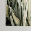 Romana Lilic / LA76 Photography Moonshine Snake Plant 18" x 24" Poster - Society6 - 3 of 3