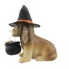 Bethany Lowe Designs 14.0 Inch Trick Or Treat Dog Witches Hat Brew Pot Figurines - 2 of 3