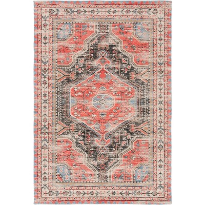Classic Vintage CLV308 Power Loomed Area Rug  - Safavieh