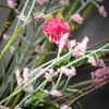 Sullivans Artificial Spring Blossom 4.5 Mini Wreath 14.5"H; Pink - 2 of 3