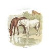Juniors Womens Lost Gods Retro Horses Portrait T-Shirt - 2 of 4