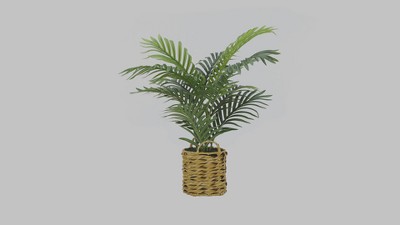 24" Green Palm Artificial Plant in Beige Woven Basket