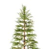 ACEPANO 72 in. H Artificial Full Christmas Tree with 612 Tips For Holiday Indoor Home Decoration-Green - 3 of 4
