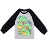 Teenage Mutant Ninja Turtles Leonardo Michelangelo Raphael Donatello 2 Pack T-Shirts Little Kid to Big Kid - 3 of 4