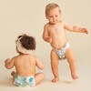 The Honest Company Clean Conscious Disposable Diapers - (Select Size and Pattern) - 2 of 4