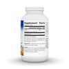 Full Spectrum Nopal Catus 1000 mg by Planetary Herbals  -  240 Tablet - 2 of 3