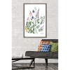 Trends International Botanical Collection - Wild Flowers Framed Wall Poster Prints - 2 of 4