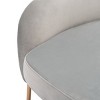 Eleazer Velvet Accent Chair - ACH6202 - Safavieh - 4 of 4