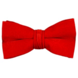 Men's Velvet Pre-tied Adjustable Length Banded Bow Tie - 1 of 4
