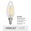 Hinkley Lighting Anchorage 3 - Light Lantern in  Light Oiled Bronze - 2 of 2