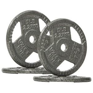 Sapphtopaz Standard Cast Iron Weight Plates for Barbell, 1-Inch Barbell Plates for Strength Training in Home & Gym, Multiple Weights - 1 of 4