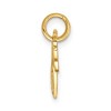 Black Bow Jewelry 14k Yellow Gold Heart and Key Set of 2 Charm or Pendants, 23mm - 2 of 4