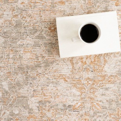 Kriti Beige and Taupe Medallion Synthetic Area Rug
