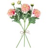 Northlight Real Touch™ Dusty Pink Artificial Dahlia  Floral Sprays, Set of 6 - 23" - 4 of 4