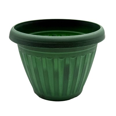 Buzzy Seeds 5.5" Plastic Grow Pot Philodendron