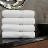 Linum Home Textiles 100% Turkish Cotton Sinemis Terry Bath Towels (Set of 4) - 2 of 3