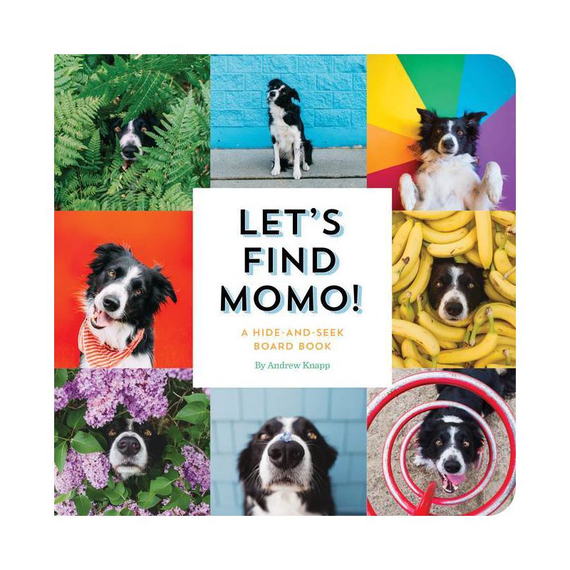 Let's Find Momo! - by  Andrew Knapp (Board Book), 1 of 2