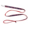 The Worthy Dog Sailboats Dog Leash - 3 of 4
