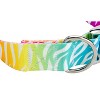 Country Brook Petz HossFit Jr Wide Premium  Dog Collar - Animal Print Collection - 4 of 4