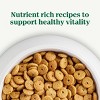 Nutro Natural Choice Chicken, Vegetable and Brown Rice Flavor Senior Dry Dog Food - 13lbs - 2 of 4