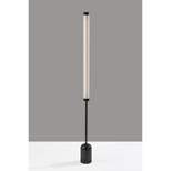 Dorsey Floor Lamp with Smart Switch Black (Includes LED Light Bulb) - Adesso