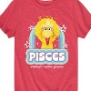 Boys' - Sesame Street - Pisces Big Bird Short Sleeve Graphic T-Shirt - 2 of 4