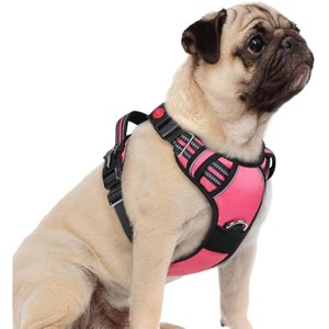 rabbitgoo Dog Harness Small Sized, No Pull Dog Vest with 3 Buckles, Adjustable Control Handle and Reflective Strips, Pink, S - 1 of 1